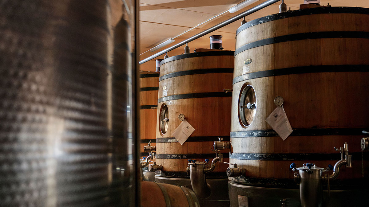 This Stellar Super Tuscan Wine Isn’t as Famous as Its Peers—but It’s Just as Great 