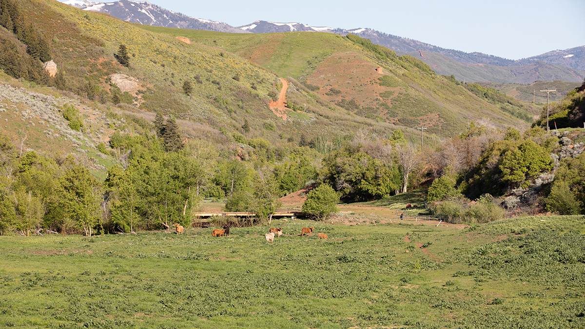 This $72.5 Million Utah Ranch’s 7,000+ Rugged Acres Include a Backcountry Camp