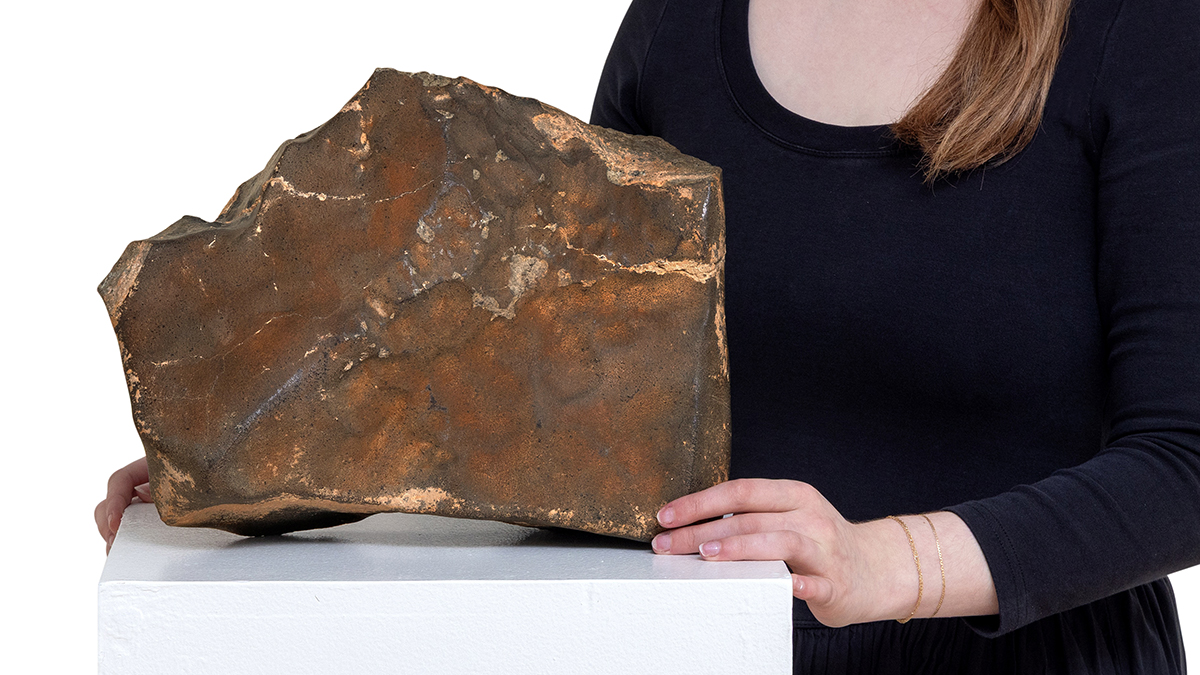 The Largest Piece of Mars on Earth Just Sold for a Record $5.3 Million