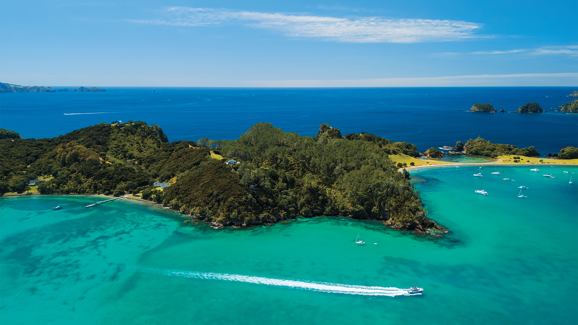 The Wealthy Americans Escaping Stateside Tumult by Moving to New Zealand