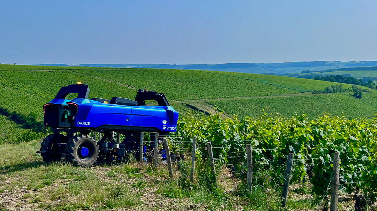 The Battle to Save Burgundy’s Vineyards From Extreme Weather