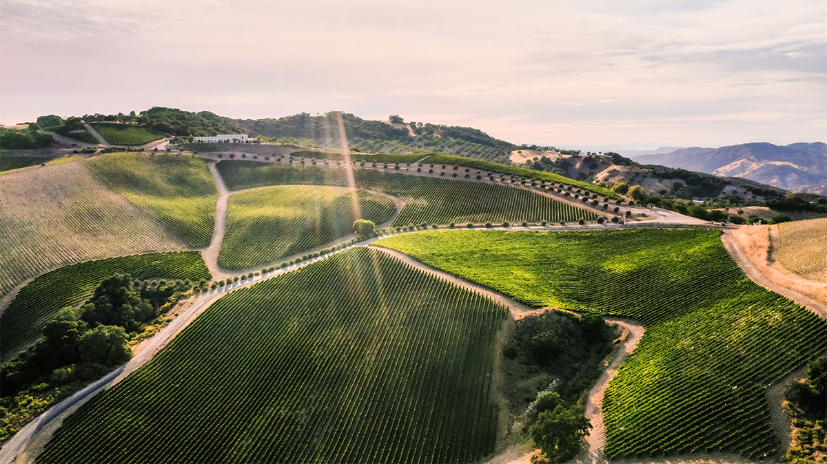 The Thriving Jazz Club in the Heart of Sleepy California Wine Country