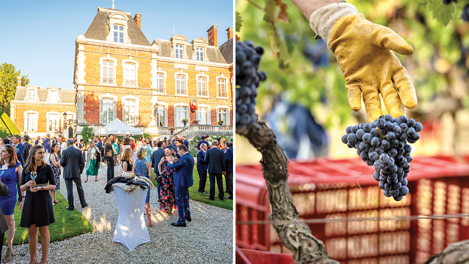 Meet the Most Exclusive Wine Clan in the World