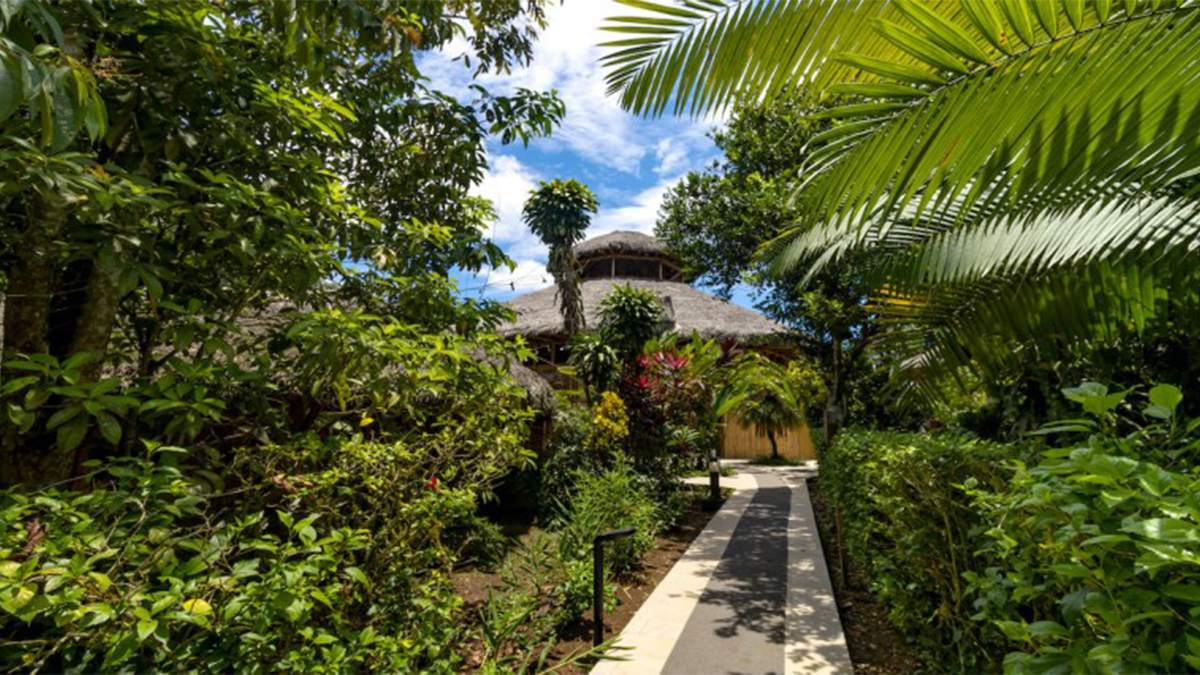 We Stayed at a Luxe Rainforest Lodge in the Ecuadorian Amazon. Here’s What It Was Like.