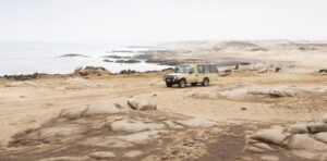 I Journeyed Through Namibia’s Ghostly Expanse – and Witnessed Life in the Wild