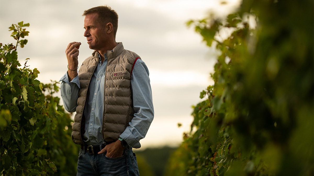 The Bordeaux Winery Gloriously Breaking All the Rules