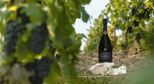 Bollinger’s Cult Cuvées May Soon Disappear – Here’s Why