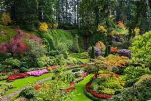 Spectacular Botanical Gardens to Visit in Spring