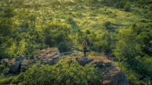 These South African Wellness Retreats Show a Wilder Way to Unwind