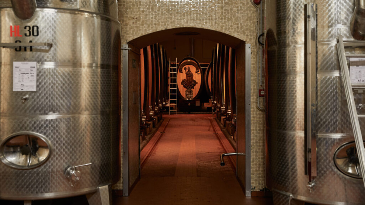 Red Burgundy Giving You Sticker Shock? Head to This Italian Region Instead.
