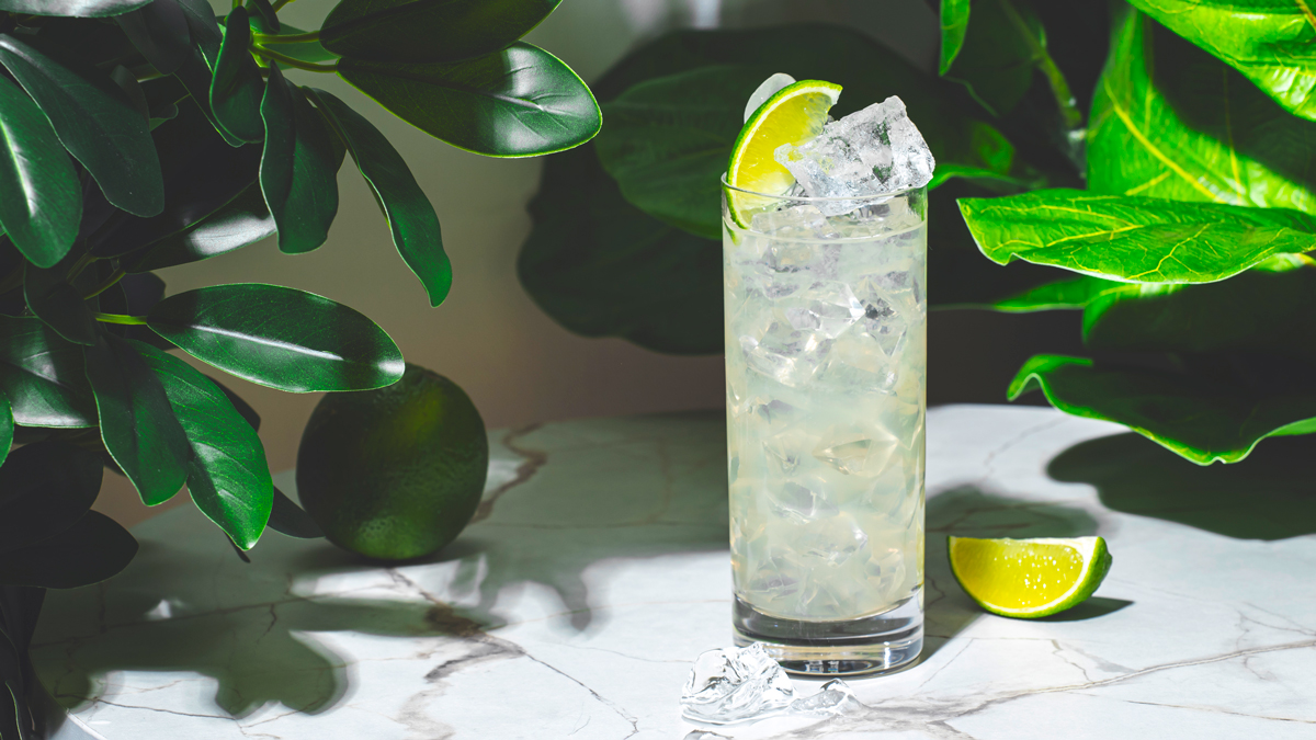 How to Make a Death in the Gulf Stream, a Hemingway-Approved Cocktail With Dutch Gin