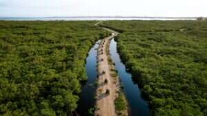 Discover a Slower Pace of Life in the Cayman Islands