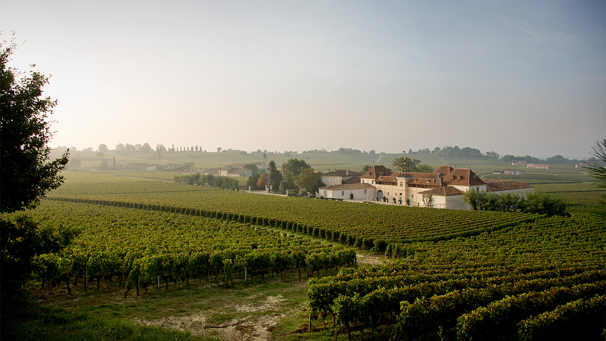 Meet the CEO Bringing New Flair to the Historic Château Angélus Bordeaux Estate