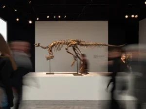 The Booming Business of Dinosaur Fossils